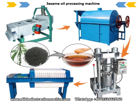 Sesame Oil Extraction Machine