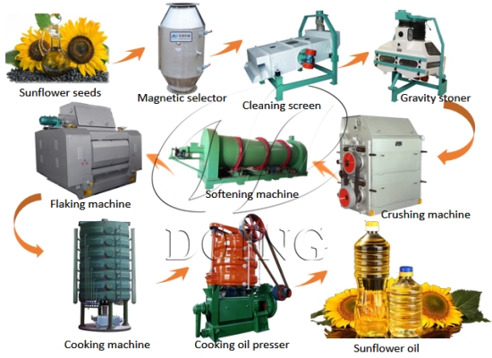 Sunflower Oil Extraction Machine