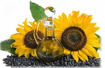 sunflower oil machine