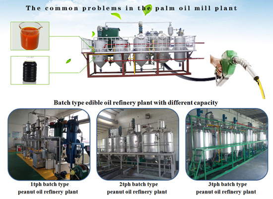2tph edible oil refining machine introduction