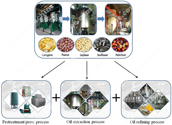 Edible oil production in India