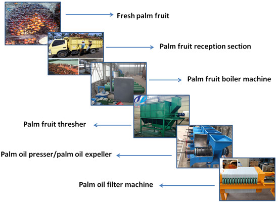 How to get palm oil from palm fruit?