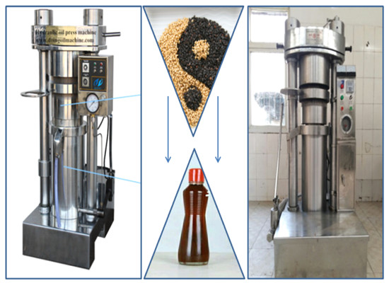 Hydraulic sesame oil press machine