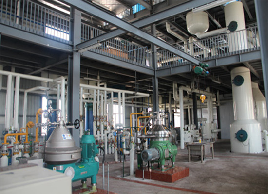 Sunflower oil refinery plant