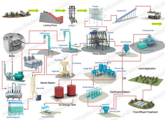 FFB of palm oil expeller into CPO (Crude Palm Oil) oil mill plant