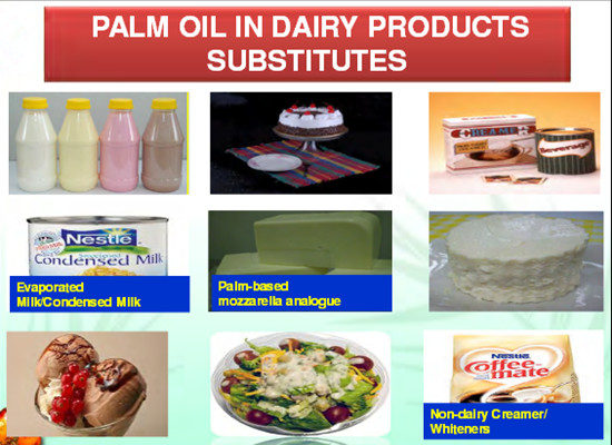 What is the application of palm oil fractionation?