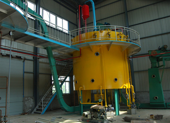 Egypt customer visited our factory for rice bran oil extraction machine