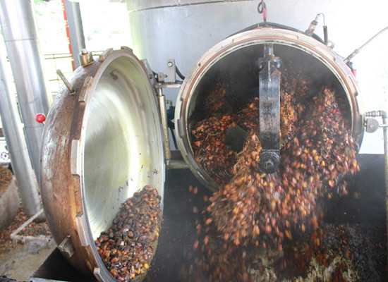 Automatic palm oil milling plant