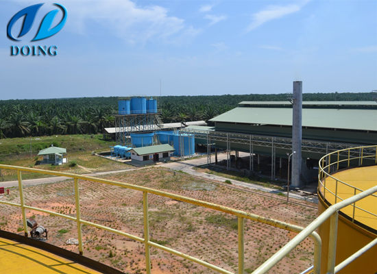 Feasibility of setting up a palm oil processing plant