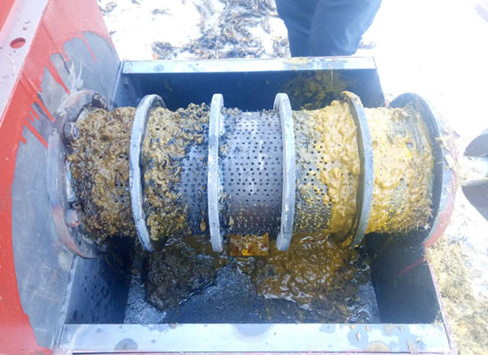 Small scale palm oil press machine commissioning video