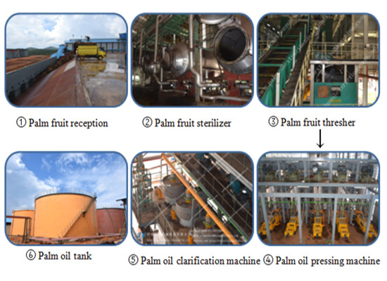 Palm oil processing flow chart