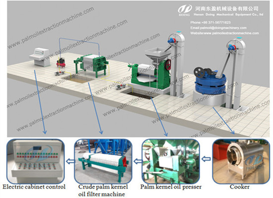 Palm kernel oil production process and profit