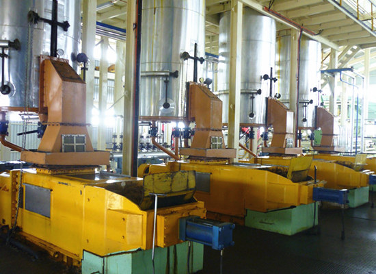 Palm oil processing machine