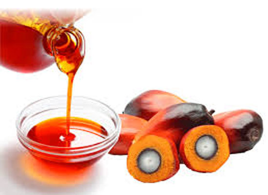 Set up a palm oil mill In Ghana is a good choice