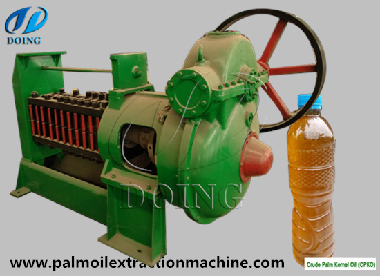 How to choose palm kernel oil extractor supplier?