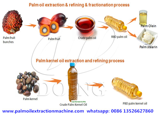 What machines were used in palm oil processing process?