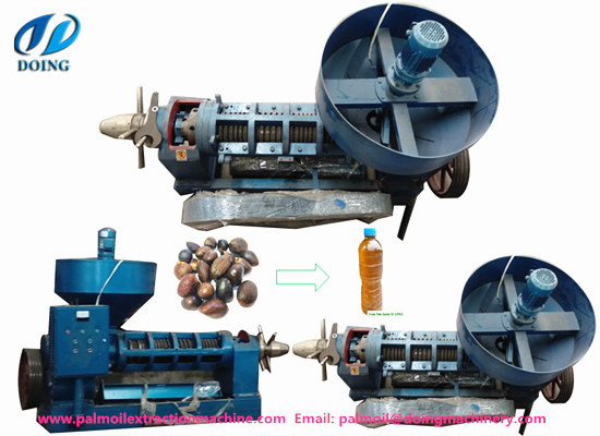 What equipments are needed in palm kernel oil production process?