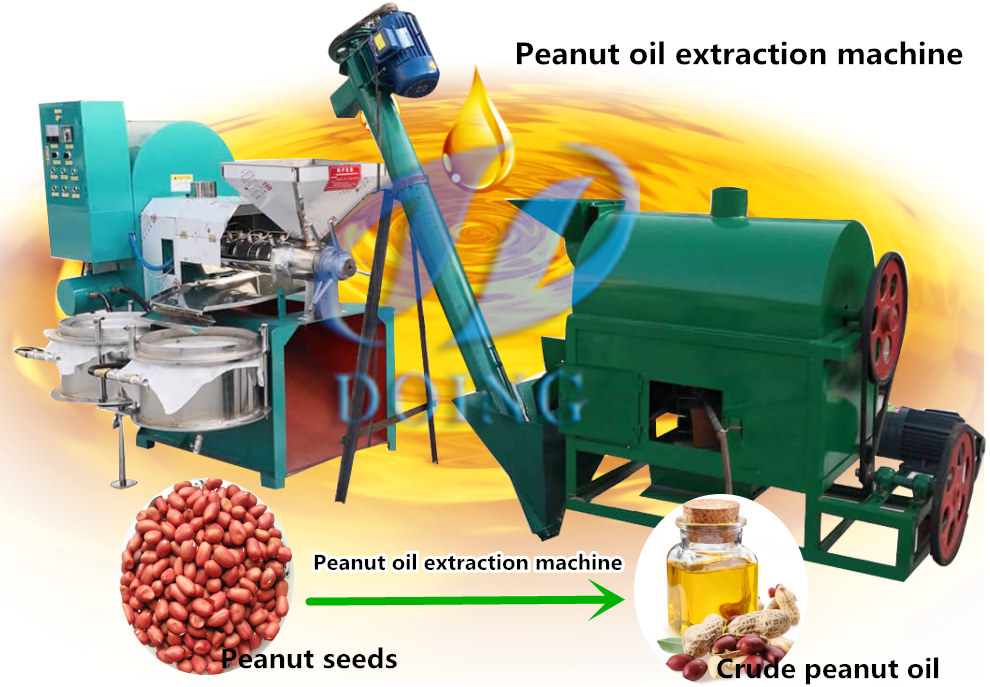 Small scale peanut oil extraction machine 3D animation