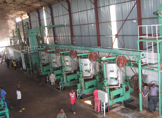 What does it cost to start a palm kernel oil mill plant?