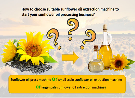 How to choose suitable sunflower oil extraction machine to start your sunflower oil processing business?