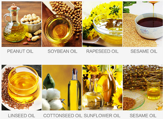 What kind of oilseeds can be processed by edible oil extraction machine?
