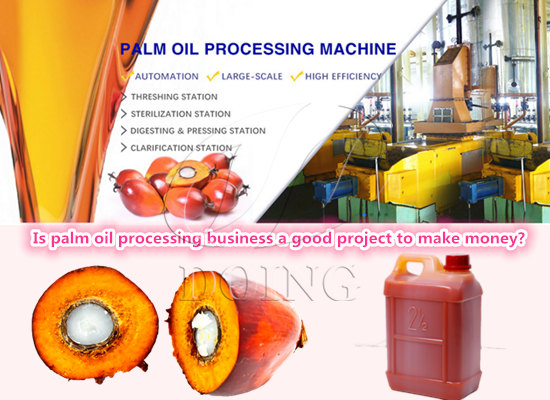 Is palm oil processing business a good project to make money?