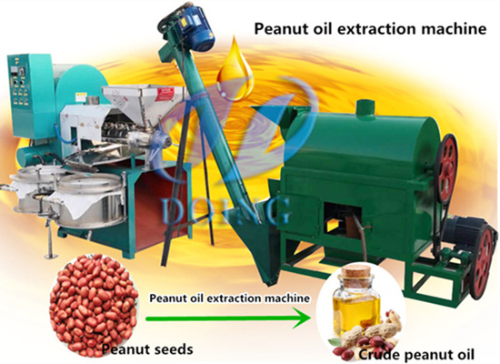 Mini peanut oil mill plant