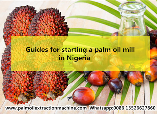 How to start a palm oil mill in Nigeria?