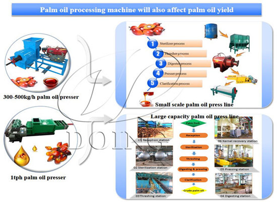 What steps involved in palm oil processing process?