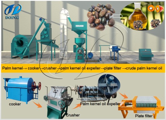 How to make palm kernel oil by using palm kernel oil processing machine?