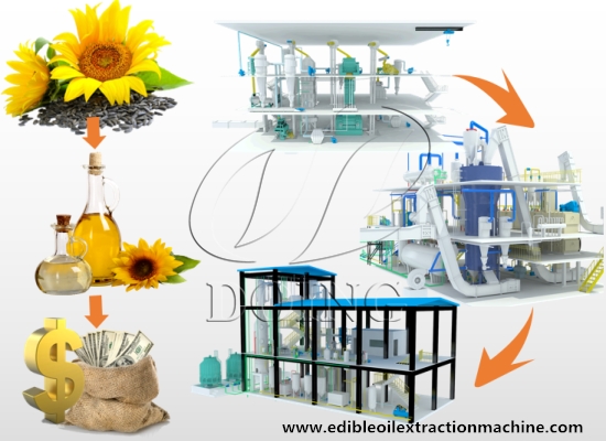 Professional guidance and suggestions for how to set up a sunflower oil mill plant in Tanzania