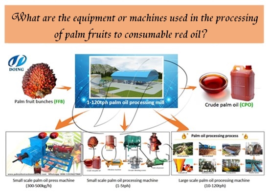 What are the equipment or machines used in the processing of palm fruits to consumable red oil?