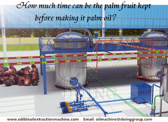 How long can be the palm fruit kept before making it palm oil?
