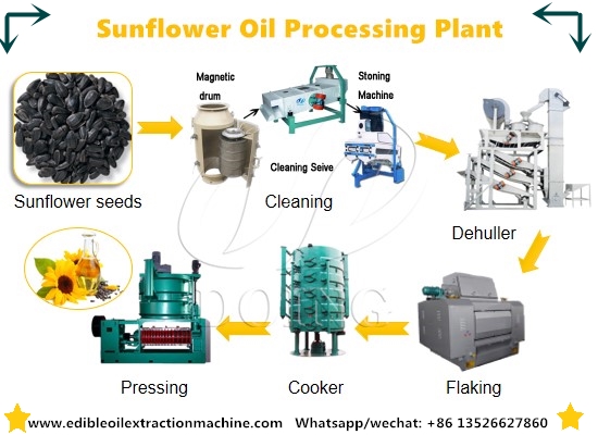 What are the steps of making sunflower oil in sunflower oil mill?