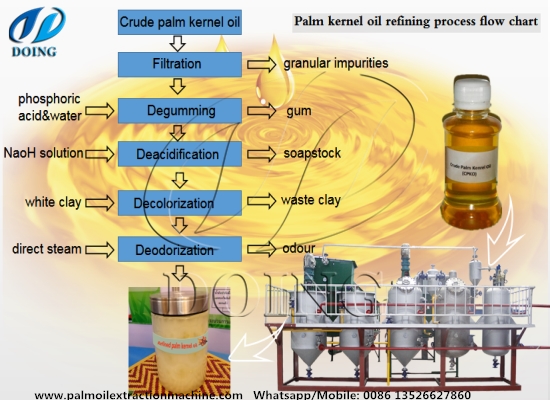 How to set up a palm kernel oil refinery plant? How to refine palm kernel oil?