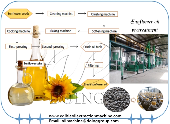 Sunflower oil pretreatment & pre-pressing machine