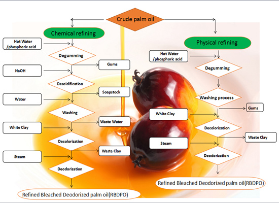 What is the difference between physical refining and chemical refining of edible oil?