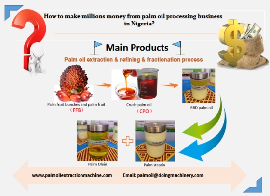 How to make millions money from palm oil processing business in Nigeria?