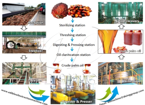Palm oil processing machines and their prices
