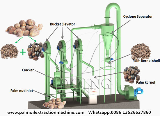 What is the working principle of palm kernel cracker and shell separator?