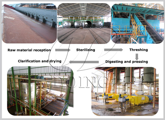 How to make palm oil from palm fruit step by step?