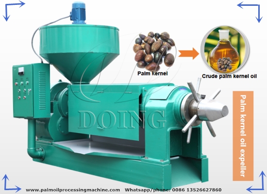 500kg/h small scale palm kernel oil expeller machine video
