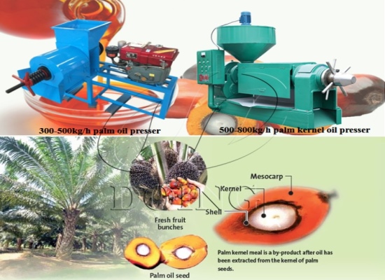 What are the uses of palm oil and the mixture of palm nuts and fibers from palm oil mill plant?