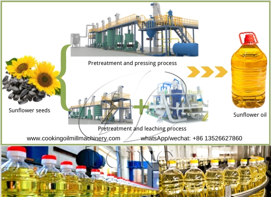 How the sunflower oil processed? What processes involved in sunflower seed oil production?