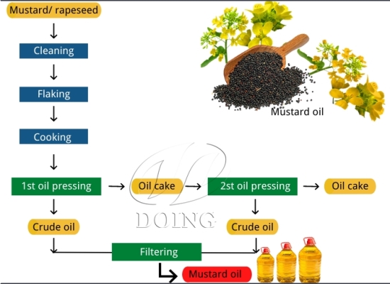 What is the extraction process of mustard oil？