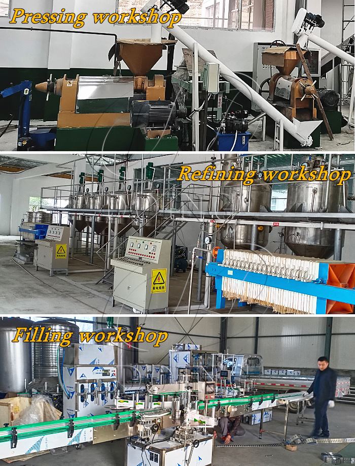 Photos of different edible oil milling plants