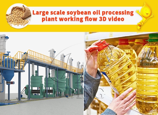 50-1000tpd large scale soybean oil processing plant working flow 3D video