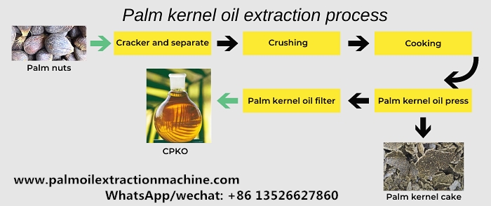 Palm kernel oil extraction process photo