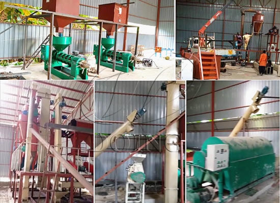 5tph palm nuts production line project and 1tph palm kernel oil press production 