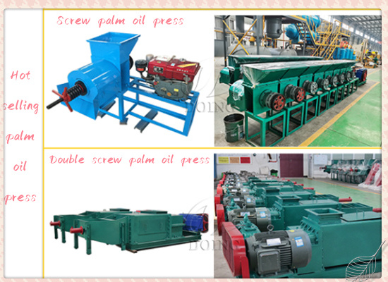 Hot selling palm oil expeller running video